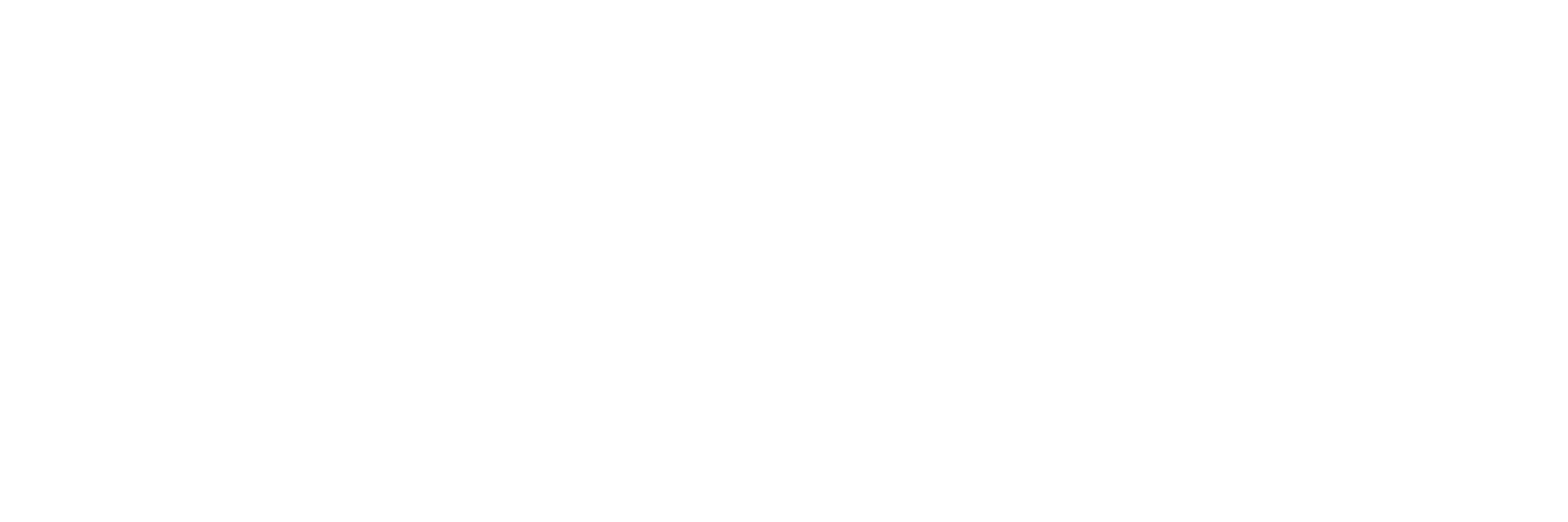 Beyond Emotion logo
